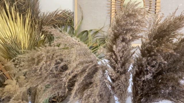 Тростник Бурый 115 см 5 шт., пампасная трава, сухоцвет, dried flowers, Grass Pampas by OBJECTS смотреть онлайн