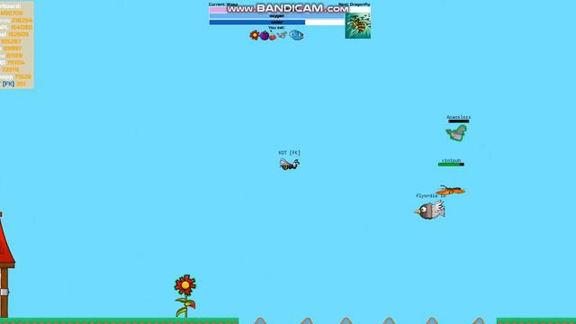 НОВОЕ ЖИВОТНОЕ В ФЛАЙ ОР ДАЙ?! [ФЛАЙ ОР ДАЙ] #1 Кот смотреть онлайн