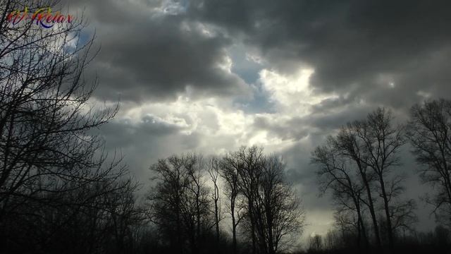 ? Отдых и расслабление под шум ветра в кронах деревьев. ? Красивые темные тучи скрывают солнце смотреть онлайн