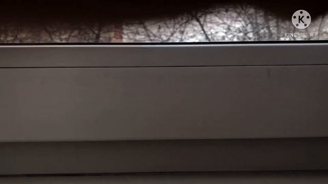 Обзор на PAINT MARKER от Berlingo