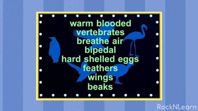 Life Science for Kids - Photosynthesis, Cells, Food Chains & More смотреть онлайн