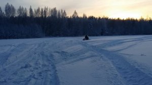 Снегоход Тикси 250 люкс. По полю. Пухляк.