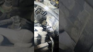 форд фокус 3 рестайлинг как протощить плюсовой провод для усилителя или сабвуфера в моторный отсек
