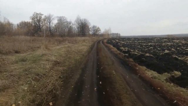 Фотоохота с Альбертом. Ходилки, бродилки. смотреть онлайн
