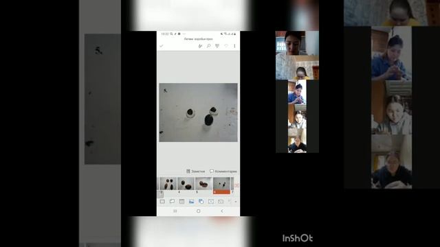 Лепка в старшей группе 《Друзья для птички》(зачет)Винокурова Милена