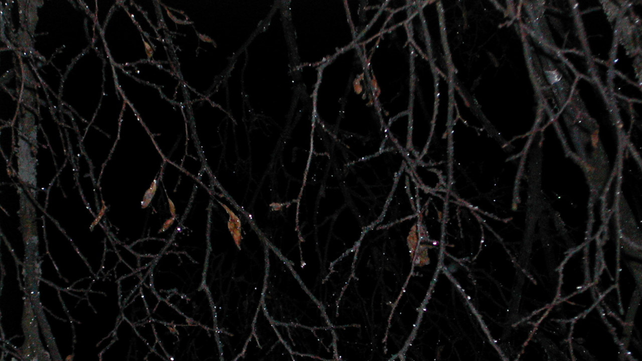 Иеромонах Роман. «Окутывает ночь дороги мраком...» смотреть онлайн