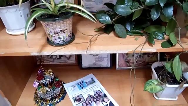 "Наша школьная газета" смотреть онлайн