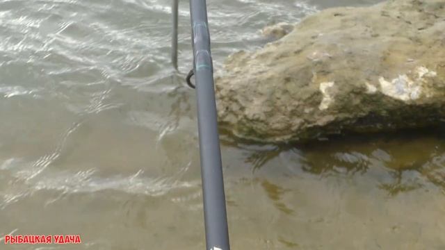 Вечерняя рыбалка на ФИДЕР и пружину в черте города, ловля КАРАСЯ @Fishing_luck смотреть онлайн