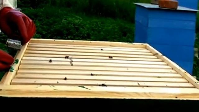 Хороший взяток, 3 июля второй корпус улья заполнен медом смотреть онлайн