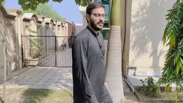 How Much Fertilizer Does A Bottle Palm Tree Need | Royal Palm Fertilizer