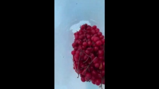 ЯГОДЫ собираем ЗИМОЙ ! смотреть онлайн