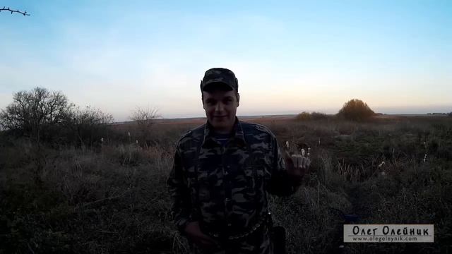 Номера дроби смотреть онлайн