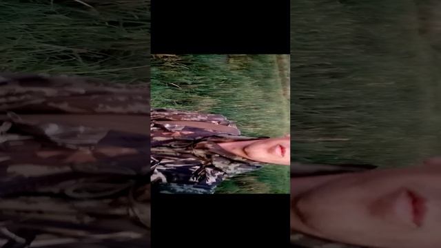 VID_20220822_043519.3gp смотреть онлайн