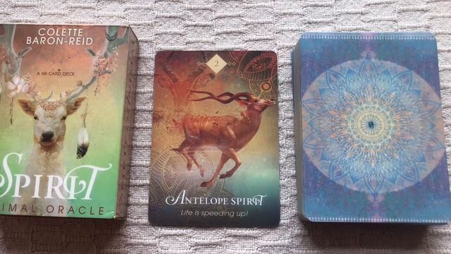 The Spirit Animal Oracle 02/68 Antelope guide book audio description смотреть онлайн