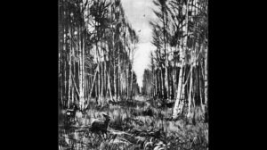 Когда над Сибирью займётся заря  Хор А.Свешникова Russian Folk Song