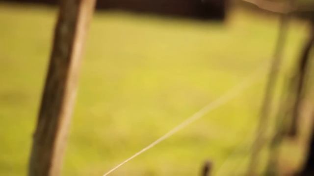 Perfurador solo STIHL BT 130 смотреть онлайн