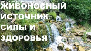 ЖИВОНОСНЫЙ ИСТОЧНИК-СЛОВЕНСКИЕ КЛЮЧИ.ИХ ЦЕЛИТЕЛЬНАЯ СИЛА ПОМОЖЕТ ОБРЕСТИ ЗДОРОВЬЕ И МОЛОДОСТЬ.РЕЛАКС