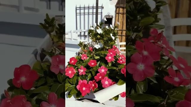 ПУТЕШЕСТВИЕ ПО ИТАЛИИ от Амальфи до Апулии – евротрип на машине от Капри до Гаргано смотреть онлайн