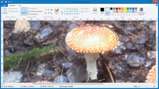 Как в Paint залить всё кроме выделенной области смотреть онлайн