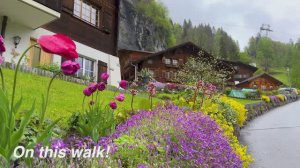 Лаутербруннен, 8 июня 2024-го, буйство красок, прогулка под дождем, шикарная "оптика" видеокамеры!