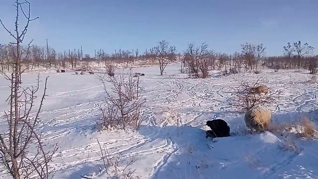 24 января 2024 г. (3).mp4 смотреть онлайн