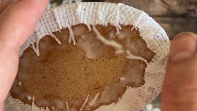 Имитация вышивки крестом + 2 рамки смотреть онлайн