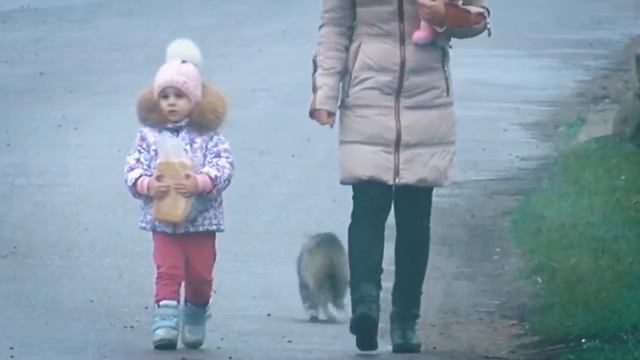 Cat backflip смотреть онлайн