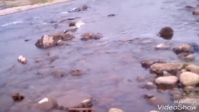 Рыбалка на Ушаковке. смотреть онлайн