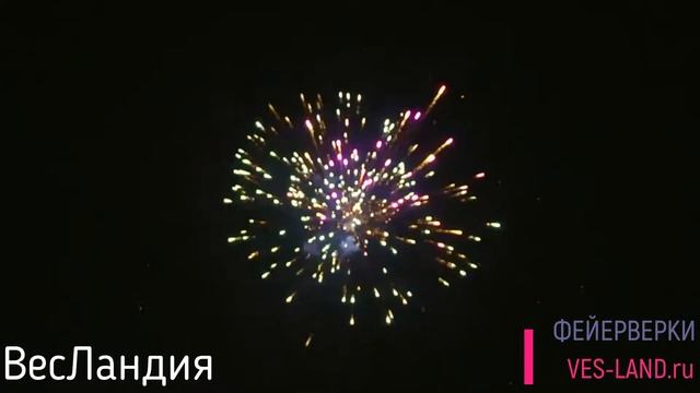 C086 Снежная красавица 49 х 1,2" смотреть онлайн