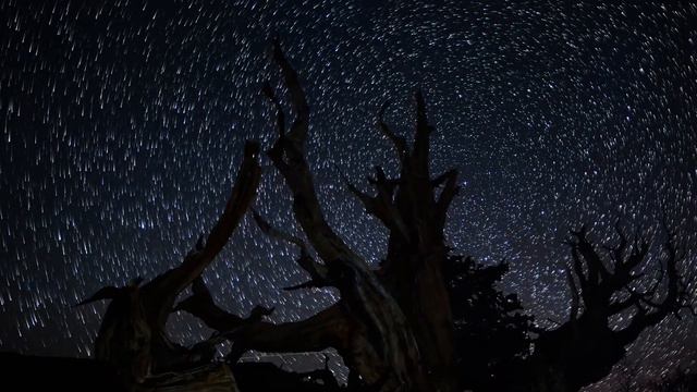 8Dio Score This: Constellations - Darren Heard - Celestial Frontier смотреть онлайн