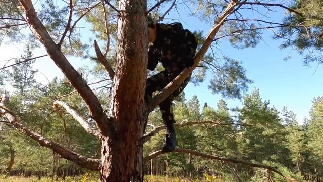 Я стала зомби в радиоактивном лесу: ловушки, тайны и побег смотреть онлайн