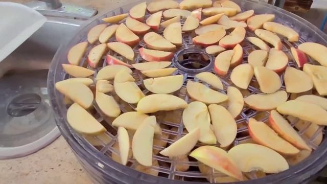 making crispy tasty dried crab apple using my food dehydrator. Canadian??filipina life?? смотреть онлайн