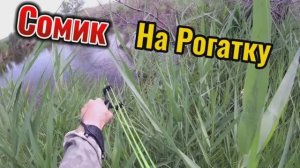 Рыбалка на рогатку - поймал Сомика