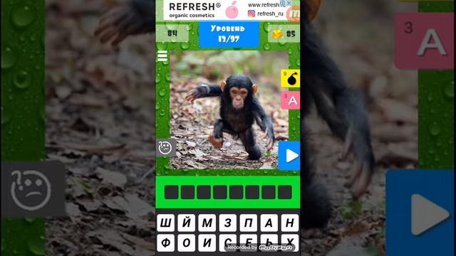 Игра угадай детеныша. смотреть онлайн