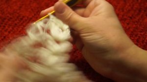 Узор для шали или бактуса соломоновыми петлями с пышными столбиками (Шаль #27)