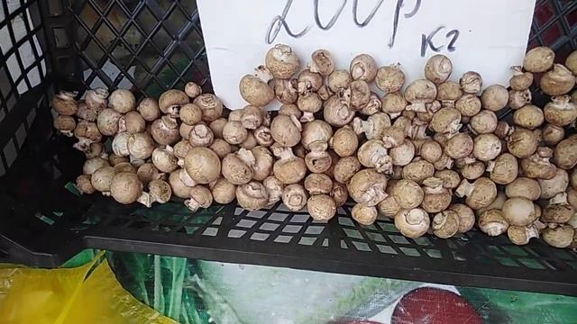 Анапа рынок привоз цены на 15 мая 2023 смотреть онлайн