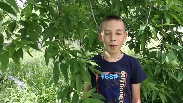 Страна читающая Матвей Осипов читает произведение «Славная осень» Н. А. Некрасова смотреть онлайн