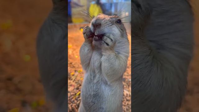 Когда нечем заняться. смотреть онлайн