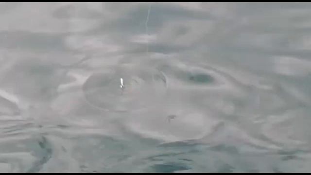 Рыбалка в Сочи после ливней в порту: Ставрида, барабуля, кефаль, окунь и бычок смотреть онлайн