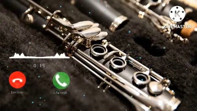 New jabardast Banjo Ringtone || Best Banjo Ringtone dhun || Mp3 Ringtone Song смотреть онлайн
