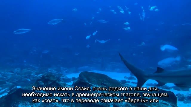 Значение имени Созия. Толкование, судьба, характер смотреть онлайн