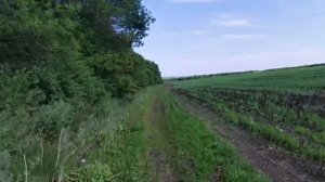 Отзыв о складном велосипеде SHULZ MAX MULTI, после 2 х лет эксплуатации