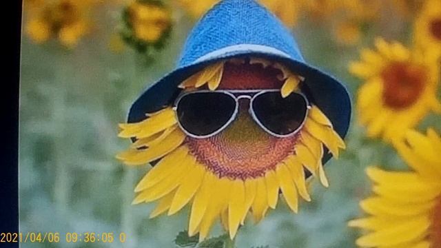 Новое видео Розы . Сказка об Ириши .к . смотреть онлайн