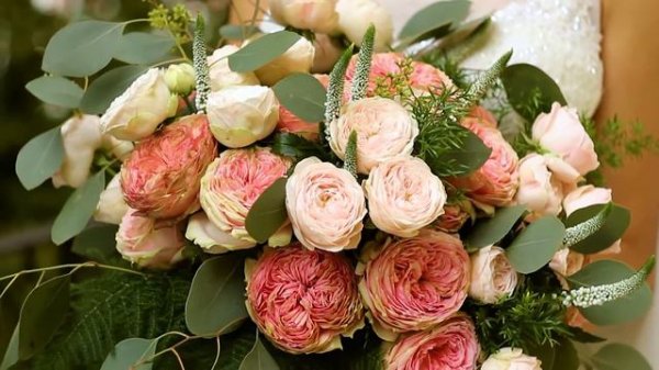 Promo Pride of Jane® Wedding roses.