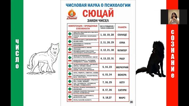 ZAK Психология. ЧИСЛО СОЗНАНИЯ. "Хотелка" нашей души смотреть онлайн