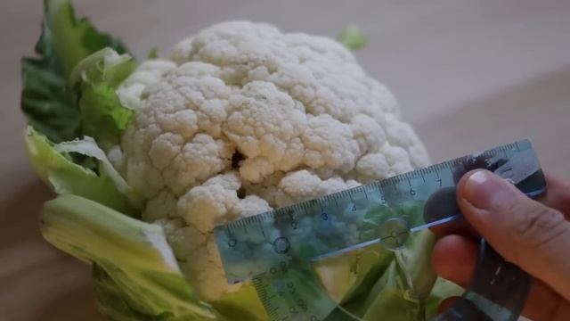 Miniature Crate with Veggies + Printing on Wood смотреть онлайн