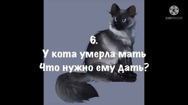 Тест: на звание трав целителей-КВ🐆 смотреть онлайн