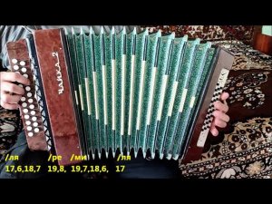 Капитан Колесников. гр. ДДТ (Разбор на гармони)