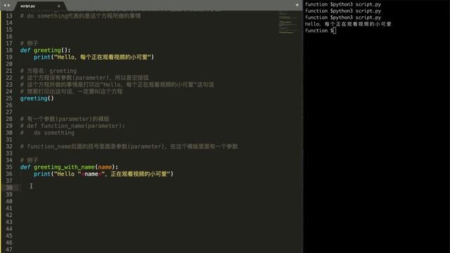python beginner tutorial: function, parameter and return ｜【0基础小白python入门】函数，参数和返回 смотреть онлайн