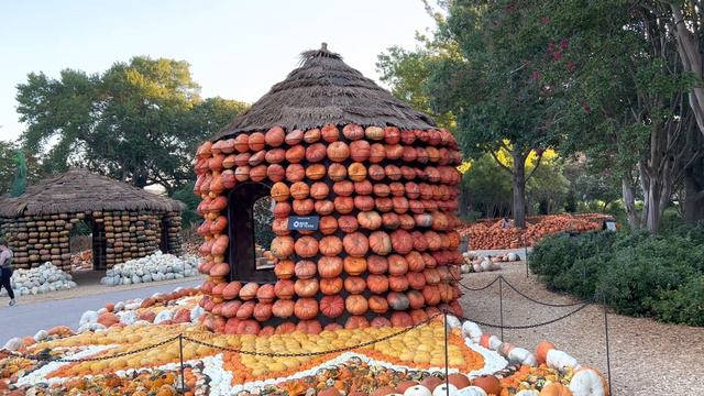Autumn at the Dallas Arboretum | Fall 2022 смотреть онлайн